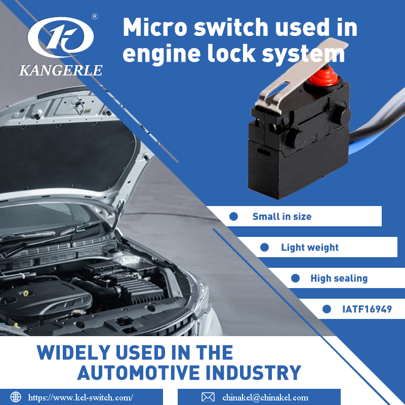 Waterproof Micro Switch Used in Car Hood Lock