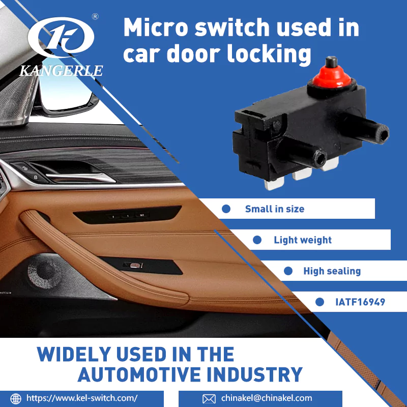 micro switch in car door locking